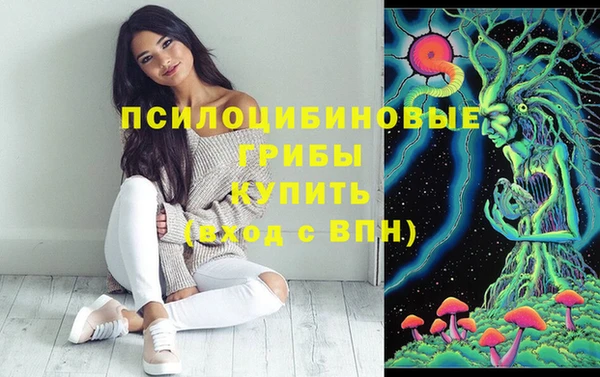 мет Аркадак
