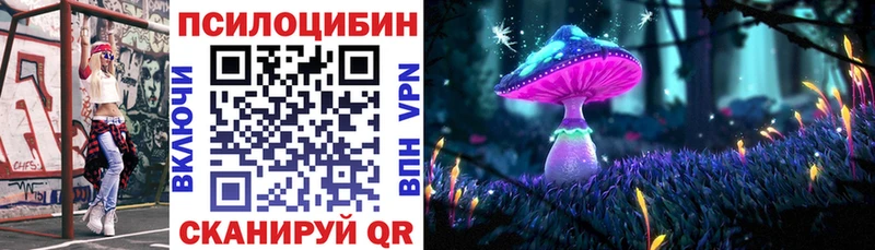 Купить где  Белоозёрский  Галлюциногенные грибы GOLDEN TEACHER 